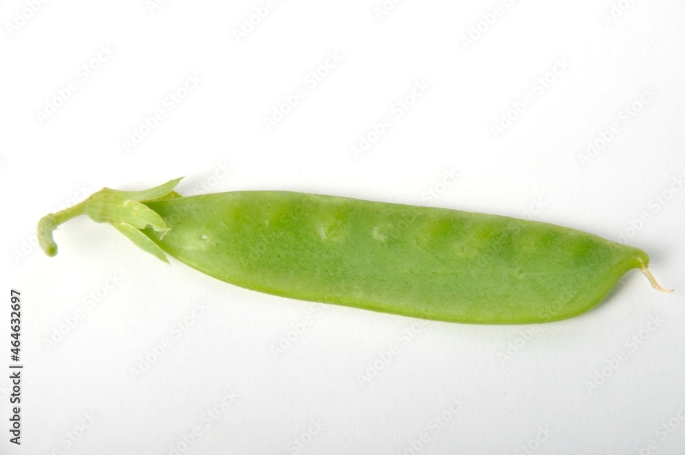 snow peas on white background snow peas on white background
