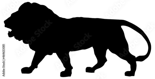 Black and white vector silhouette of an adult African lion.