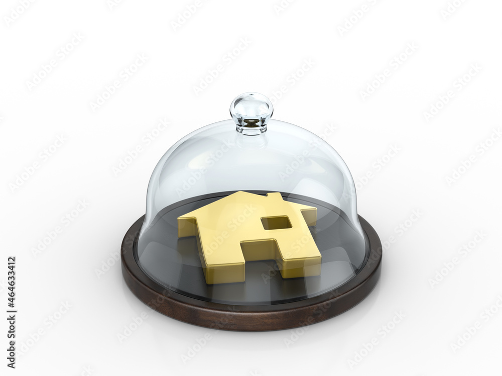 Obraz premium House symbol under the dome