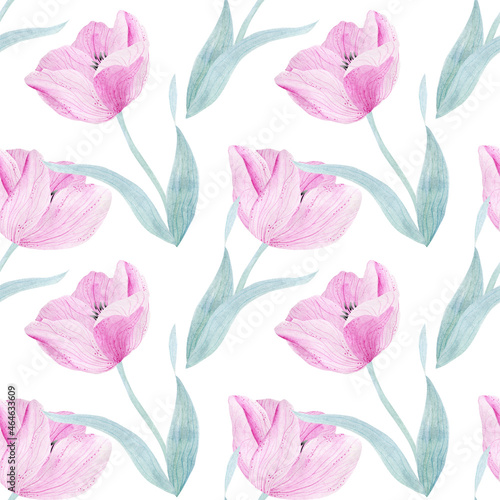 Delicate pink tulip. Flower petals. Watercolor illustration for congratulations  invitations  perfumery products. Seamless pattern.