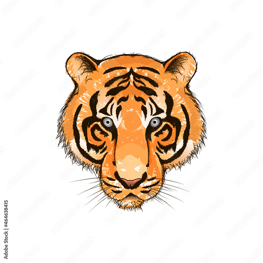 Hand drawn watercolor tiger illustration Hand drawn watercolor tiger illustration