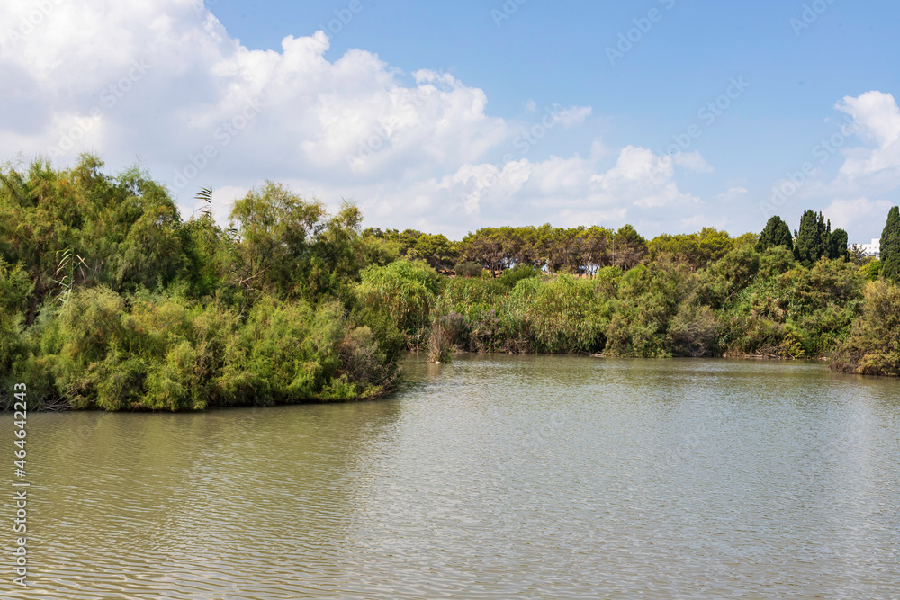 View of pond with trees around with clouds reflecting in the water.