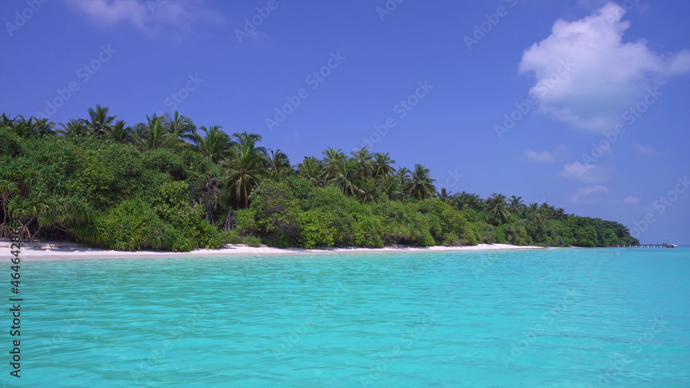 Coastline, sand, palm trees, ocean breeze