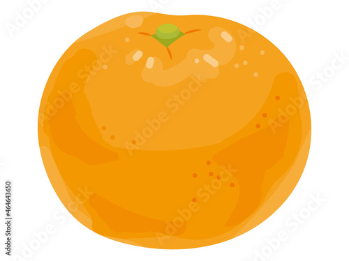 みかん　Mandarin orange vector illustration.