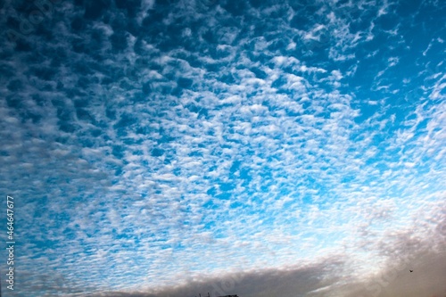 A delightful heavenly sight of hundreds of feather clouds