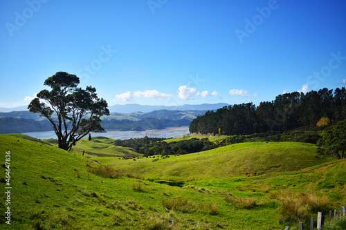 New Zealand, Matarangi, Coromandel Coast 