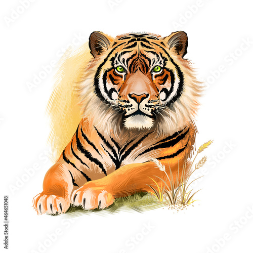 Tiger head isolated on white background digital art illustration. Wildlife safari animal  symbol of chinese horoscope  portrait of render predator  big angry striped cat  jungle mascot mammal.