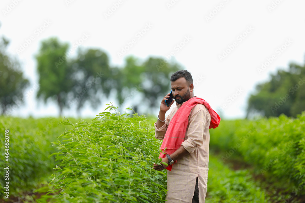 Young indian farmer talking smartphone at agriculture field. Young indian farmer talking smartphone at agriculture field.