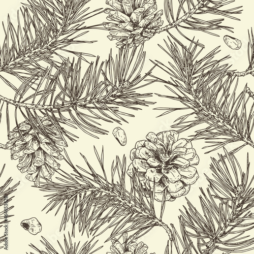Seamless ornament with cones and pine branches. Christmas pattern.