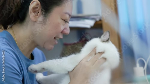 Asian woman playing with cat in home.Happy smiling woman at home cuddling and holding her lovely cat , pets and togetherness concept.