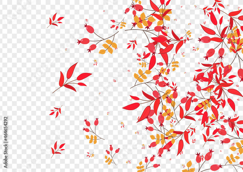 Burgundy Herb Background Transparent Vector. Berries Wood Set. Yellow Leaves Object. Tree Illustration. Foliage October.