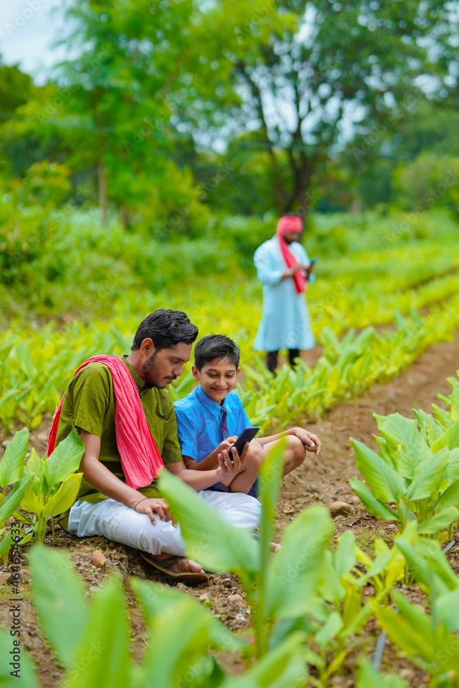 Fototapeta premium Indian farmer using smartphone with his child at green turmeric agriculture field.