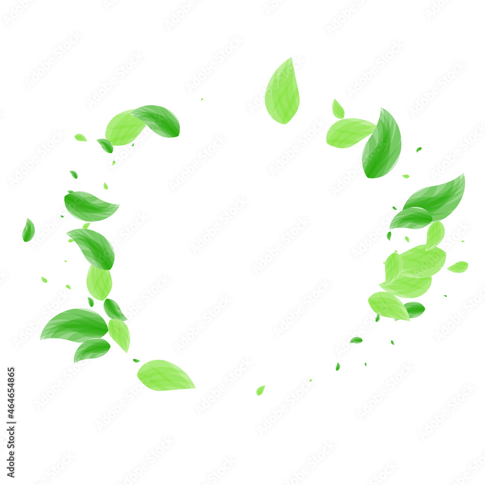 Greenish Greenery Background White Vector. Leaves Process Texture. Healthy Design. Green Vivid Card. Plant Garden. Greenish Greenery Background White Vector. Leaves Process Texture. Healthy Design. Green Vivid Card. Plant Garden.