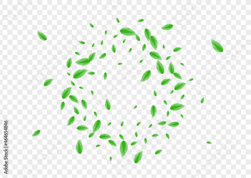 Green Sheet Background Transparent Vector. Leaf Flavor Frame. Flora Card. Greenish Banner Texture. Vegetation Mint.
