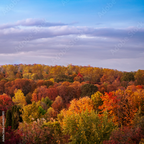 The colors of happy autumn trees