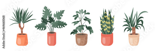 Trendy collection of home cute plants and succulents in flowerpots pack icons. Set of houseplants and succulents in pots modern illustrations. Cozy vector decoration elements in flat swiss style.