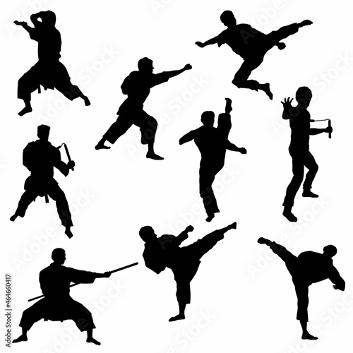 Silhouettes of Karate - Vector Image photo