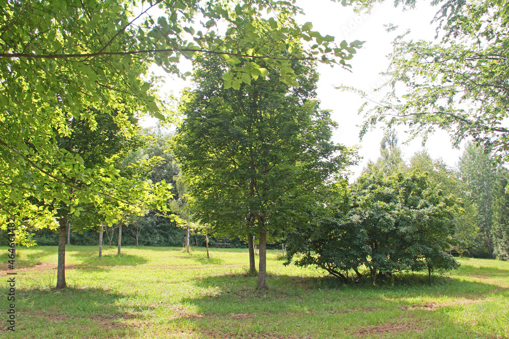 Fototapeta premium Grünes Labor Coburg