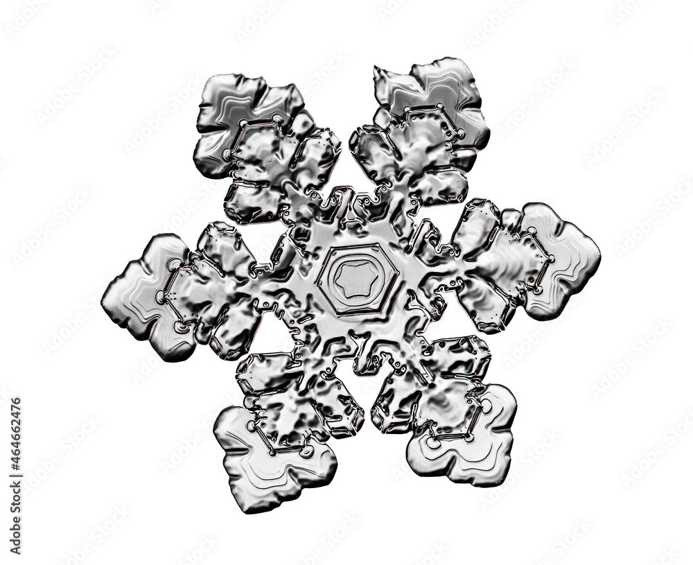 Black snowflake isolated on white background. Illustration based on macro photo of real snow crystal: elegant star plate with short, broad arms, glossy relief surface and complex inner details.
