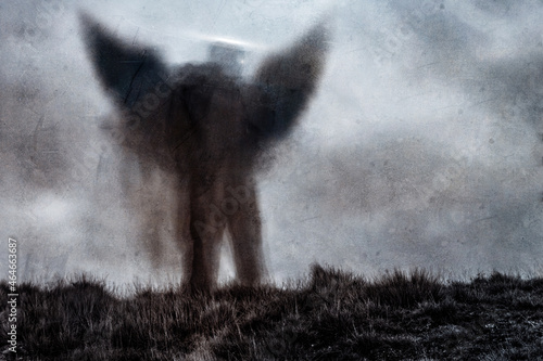 Tablou pe pânză A horror, spiritual concept of a scary angel figure with glowing eyes standing outside