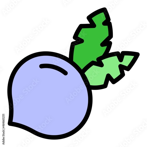 Radish icon. Outline radish vector icon color flat isolated