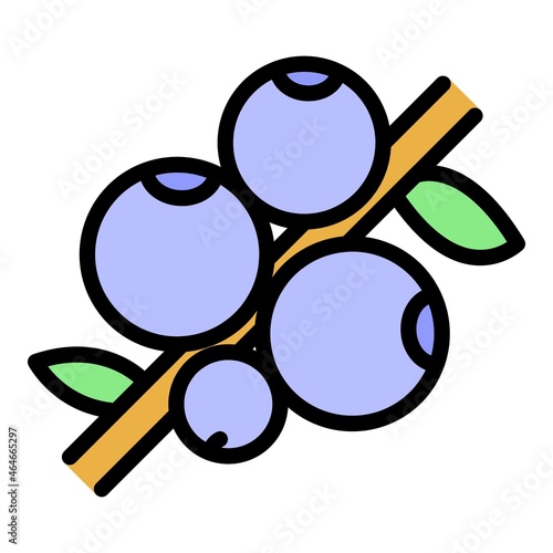 Superfood berry icon. Outline superfood berry vector icon color flat isolated