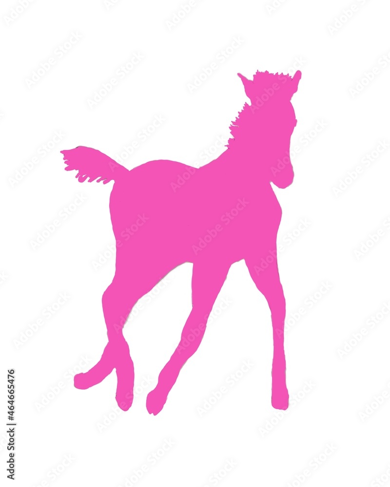 Obraz premium pink cult