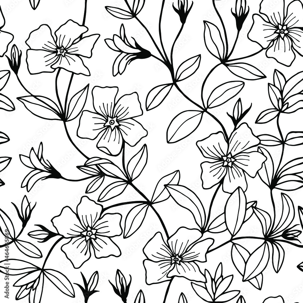 Fototapeta premium Periwinkle flowers seamless pattern. Vector stock illustration eps10. Isolate on white background, outline, hand drawing.