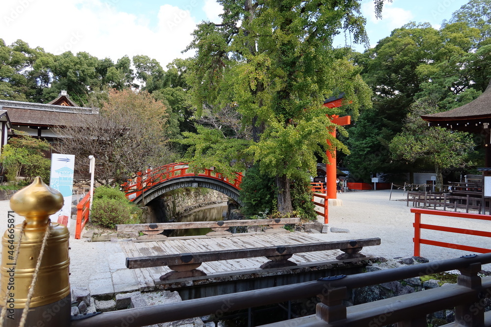 Temples and shrines in Kyoto in Japan 日本の京都にある神社仏閣 : Sori-bashi Bridge and Mitarashi-gawa Stream in the precincts of Shimogamo-jinja shrine 下賀茂神社の境内にある反り橋と御手洗川 Temples and shrines in Kyoto in Japan 日本の京都にある神社仏閣 : Sori-bashi Bridge and Mitarashi-gawa Stream in the precincts of Shimogamo-jinja shrine 下賀茂神社の境内にある反り橋と御手洗川