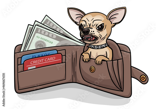 A small chihuahua dog is sitting in a purse.