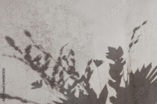Shadow of tree leaves on the grunge concrete wall background, beautiful gray texture.