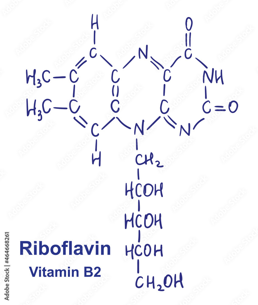 Riboflavin chemical structure. Vector illustration Hand drawn. Riboflavin chemical structure. Vector illustration Hand drawn.