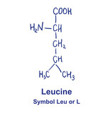 Leucine chemical structure. Vector illustration Hand drawn