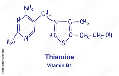 Thiamine chemical structure. Vector illustration Hand drawn.