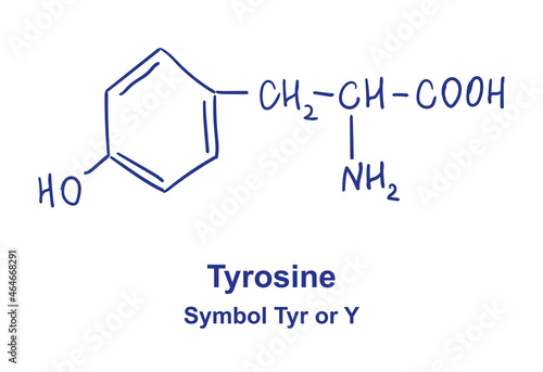Tyrosine chemical structure. Vector illustration Hand drawn