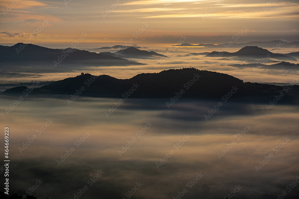 Misty foggy mountain landscape with fir forest and  in vintage retro hipster style