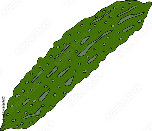 ゴーヤのイラスト素材