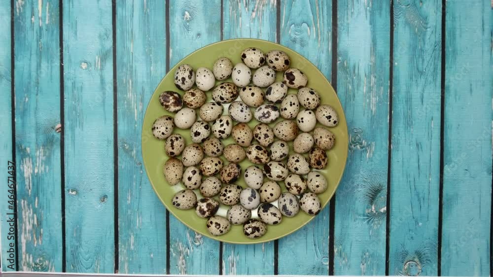 Rotating Quail Eggs On A Green Plate On A Blue Wooden Background. Top View. Rotating Quail Eggs On A Green Plate On A Blue Wooden Background. Top View.