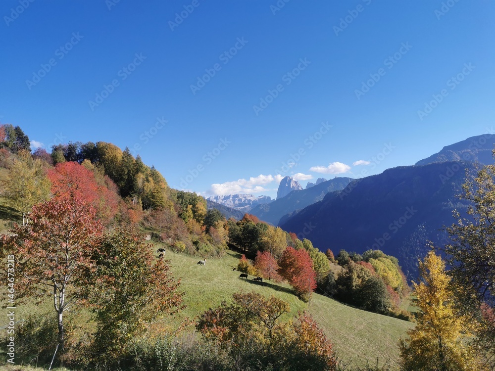 fall in the mountains fall in the mountains