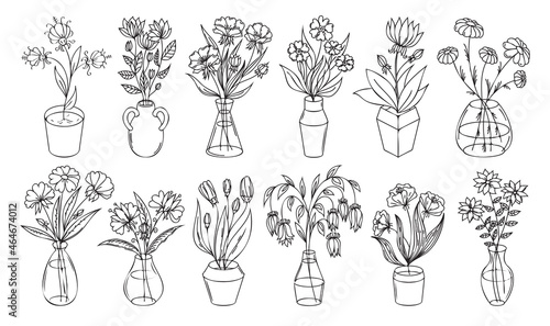 Flowers outline illustration with vase and pot isolated on white background. Floral set, house plant line art illustration, flower drawing linear collection.