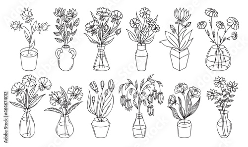 Flowers outline illustration with vase and pot isolated on white background. Floral set, house plant line art illustration, flower drawing linear collection. photo