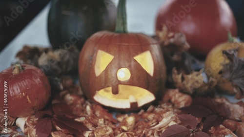 still life with pumpkin