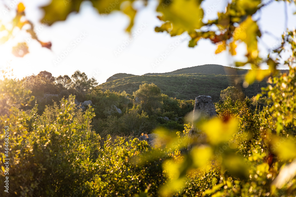 Fototapeta premium Paysage de la Mer de Rochers au lever du soleil, dans le piémont cévenol à Sauve (Occitanie, France)