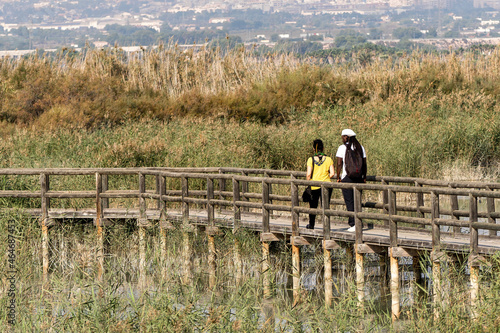 Rear view of two females on the wooden footbridge surrounded by reed grasses photo