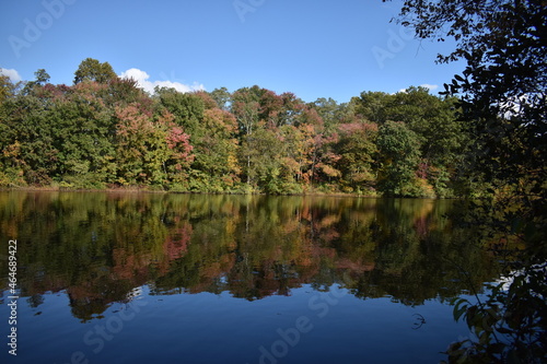 Fall Foliage