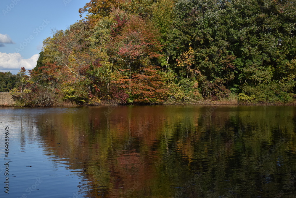 Fototapeta premium Fall Foliage