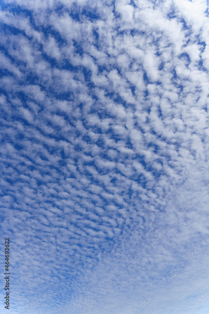 Fototapeta premium 秋の雲 うろこ雲（1０月）