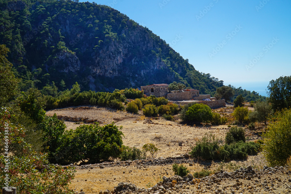 Plants on the slopes of the Taurus Mountains along the Lycian Way in southern Turkey. Plants on the slopes of the Taurus Mountains along the Lycian Way in southern Turkey.