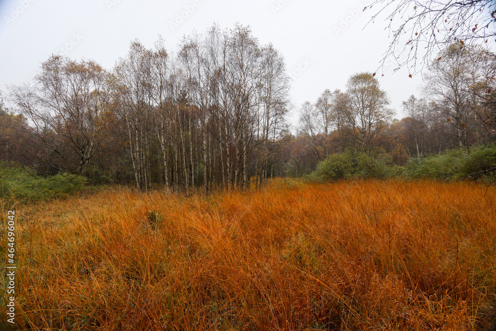 Rotes Moor Rhön Rotes Moor Rhön