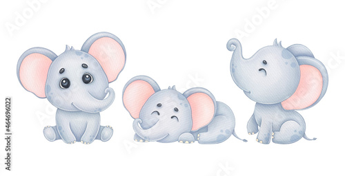 Watercolor cute elephants  kids illustration for print